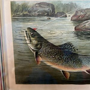Ant/VTG Framed Denton Fish